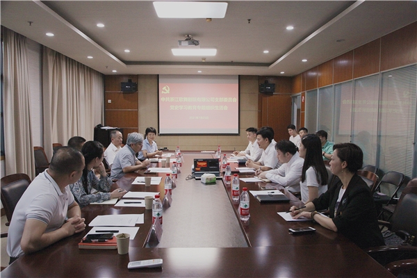 浙江演艺集团浙江歌舞剧院有限公司党支部召开党史学习教育专题组织生活会